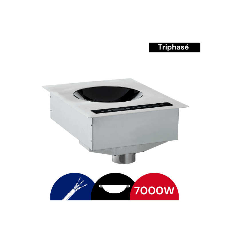 Adventys DTWIC Induction Wok