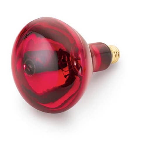 Cres Cor – 120V, 250 Watt Red Infrared Light Bulb – 0820-001 (Pre-Order Now, ETA 4-6 Weeks)