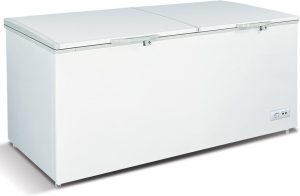 76" Two (2) Door Chest Freezer With Solid Flat Top 19.8 cu.ft. (560 L)