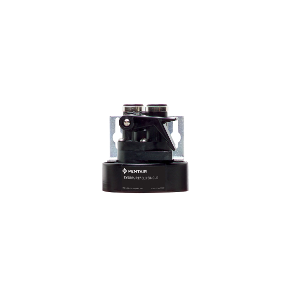 Everpure QL3 Filter Head